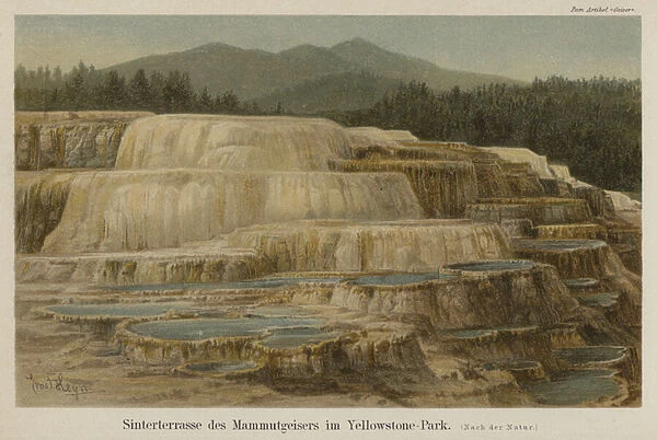 Calcareous sinter terraces at Mammoth Hot Springs in Yellowstone National Park, Wyoming (colour litho)