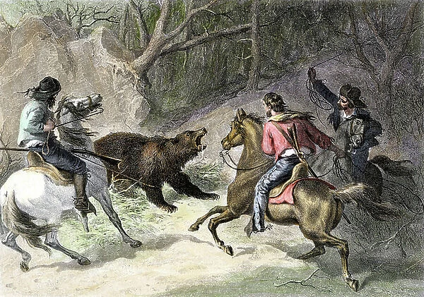 Californian riders capturing in lasso a brown bear, 1800s. 19th century colour engraving