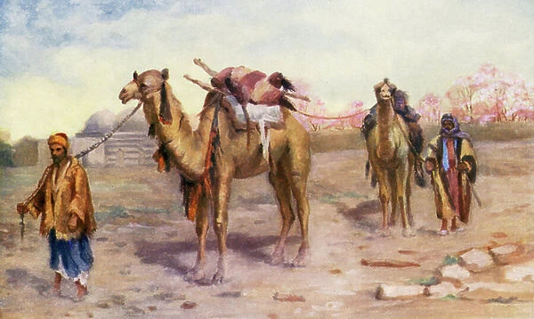 Camels and Drivers outside Damascus (colour litho)