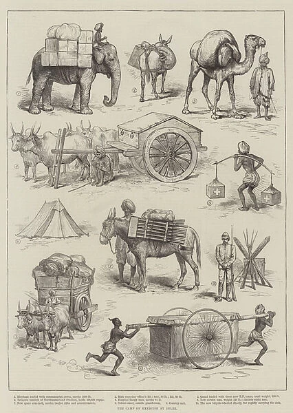 The Camp of Exercise at Delhi (engraving)