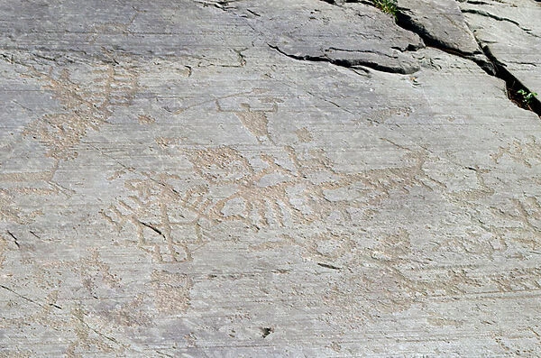 CAMUNI depiction of animals, human figures with spear and village buildings, petroglyphs on Permian sandstone