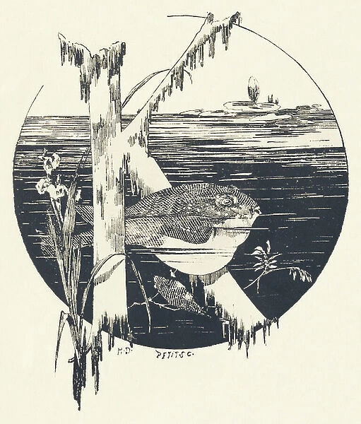 Capital letter K on a water background with fish and water irises. 1880 (engraving)
