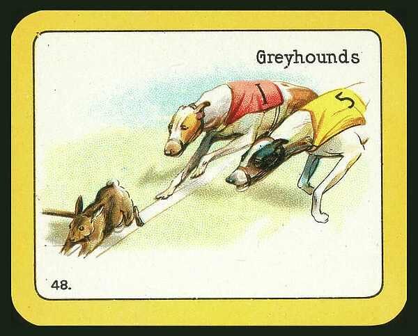 Card from The Black Cat Greyhound Racing Game (colour litho)