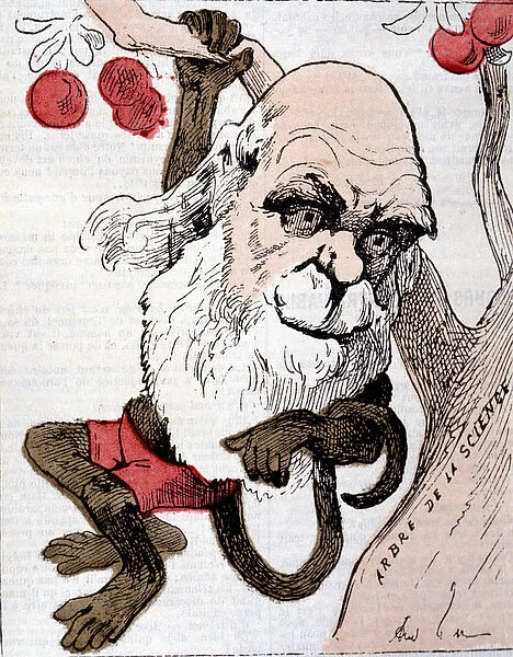 Caricature by Charles Robert Darwin (1809 - 1882) in 'La Lune'