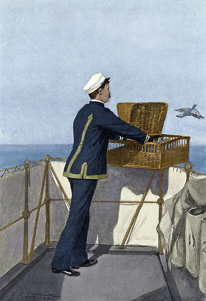 Carrier pigeon released from the USS ' Iowa' with a message for home port, 1897