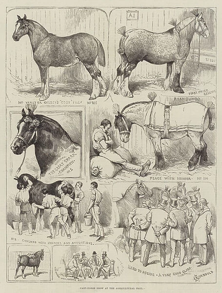 Cart-Horse Show at the Agricultural Hall (engraving)