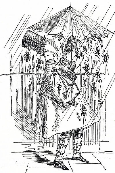 Cartoon depicting a man sheltering himself from the down-pour of cockroaches and black beetles