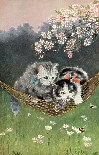 Cat postcard (colour litho)