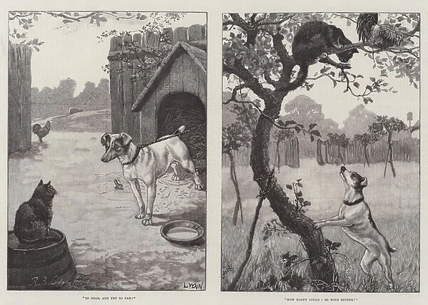 Cats and Dogs (engraving)