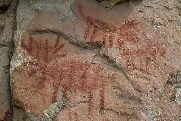 Cave painting, Salmon-Challis National Forest (photo)