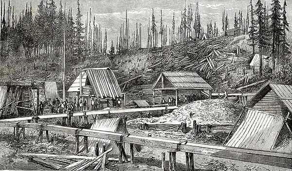 Celebre gold deposit of Cameron, near Williams's Creek, Caribou District, British Columbia, Canada, 1866. Engraving of the 19th century