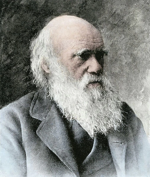 Charles Darwin, about 1880
