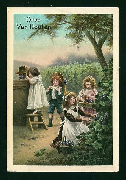 Children picking grapes (chromolitho)