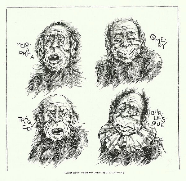Chimpanzee expressions (engraving)