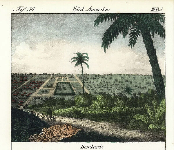 The city of Bombarde (Haiti). Lithography for the book: ' Galerie complete en tableaux fideles des peuples d'Amerique et d'Australie' by Friedrich Wilhelm Goedsche (1785-1863), Meissen edition (Germany), 1835-1840. The town of Bombarde in Haiti