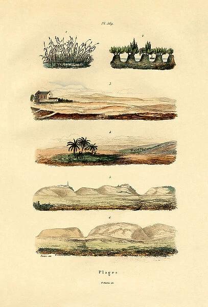 Coast, 1833-39 (coloured engraving)