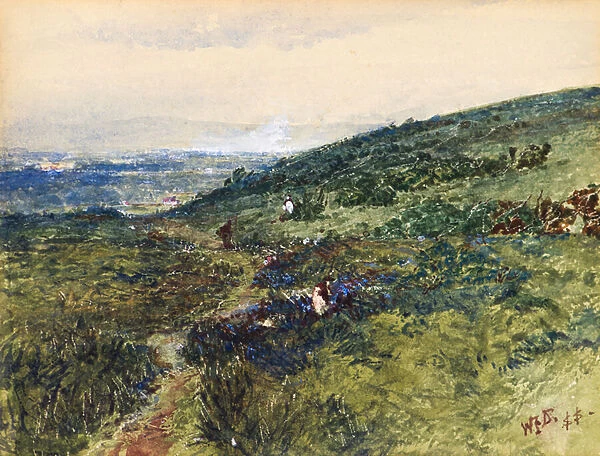 Coast Scene, 1888 (w  /  c)