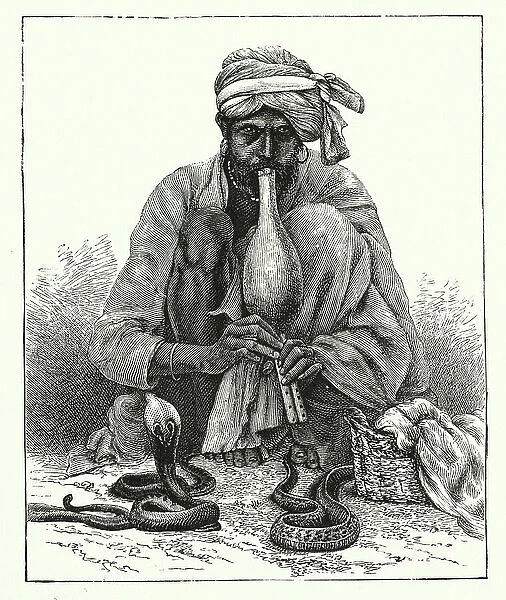 The Cobra and the Snake Charmer (engraving)