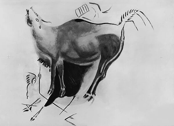 Copy of a rock painting at the Altamira Caves depicting a stag belling
