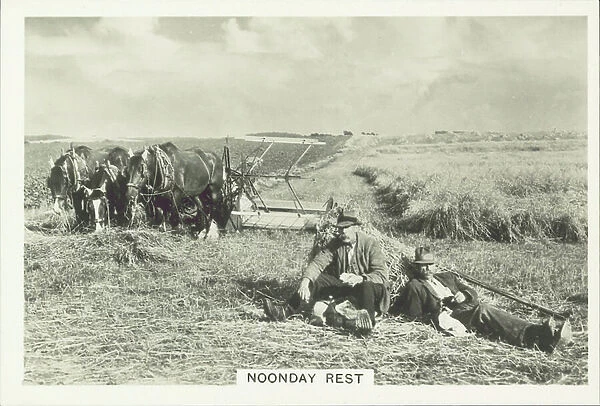 Our Countryside, 1938: Noonday Rest (b / w photo)
