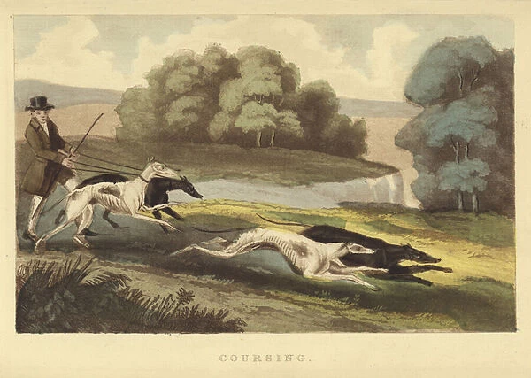 Coursing (coloured engraving)