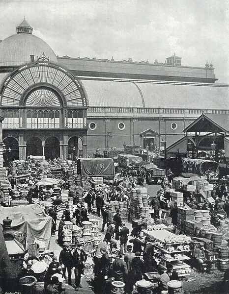 Covent Garden Market, a Morning Scene in the Market (b  /  w photo)