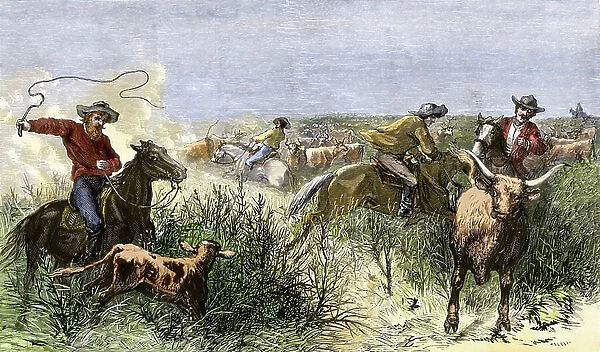 Cowboys driving cattle from Texas to Kansas, USA. 1870 Colouring engraving