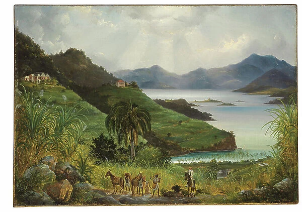 Cruz Bay; Cinnamon Bay, Danish West Indies (U.S. Virgin Islands), 1851 (oil on canvas)