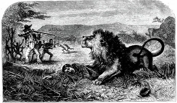 David Livingstone (1813-1873) saved from a lion by Mebalwe