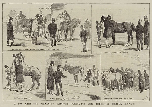 A Day with the 'Remount'Committee, purchasing Army Horses at Redhill, Edgware (engraving)