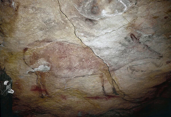 A deer. Upper Paleolithic (Magdalenian) (rock painting)