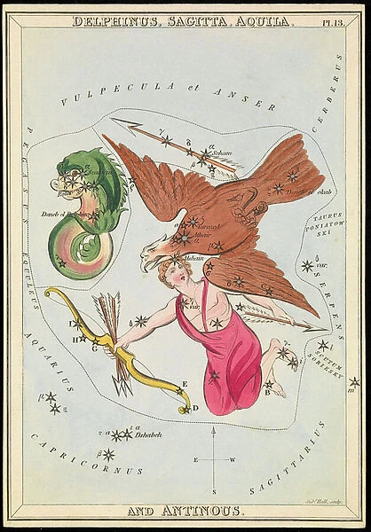 Delphinus, Sagitta, Aquila and Antinous, c.1825 (card, paper, tissue)