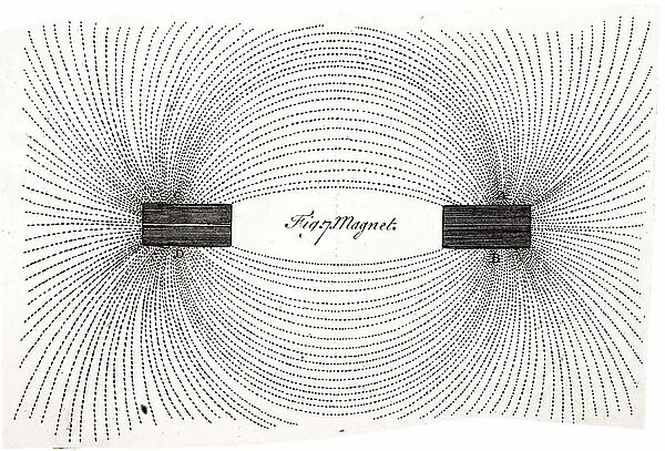A diagram showing the lines of magnetic force demonstrated by using two magnets and iron filings, 19th century