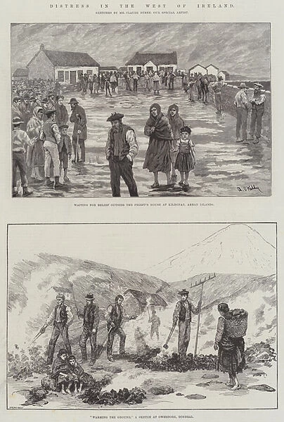 Distress in the West of Ireland (engraving)
