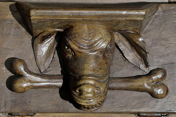 Dog head Panels of the 17th century Detail of the stalls of the church of the Clunisian Prioress Sainte-Marie (Sainte Marie) founded in the 11th century, Moirax, Lot et Garonne