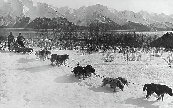 Dog team, c.1900-30