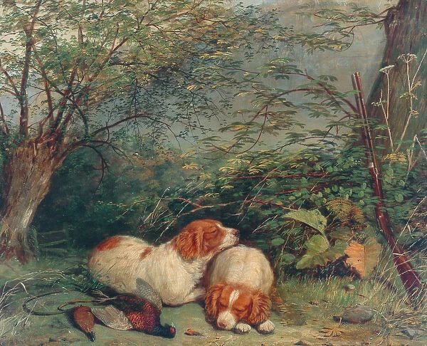 Dogs and Pheasant, 1840 (oil on canvas)