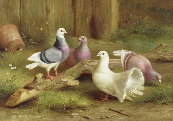 Doves, 1918 (oil on canvas)
