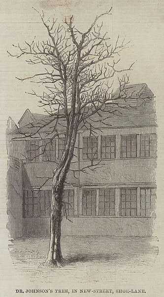 Dr Johnsons Tree, in New-Street, Shoe-Lane (engraving)
