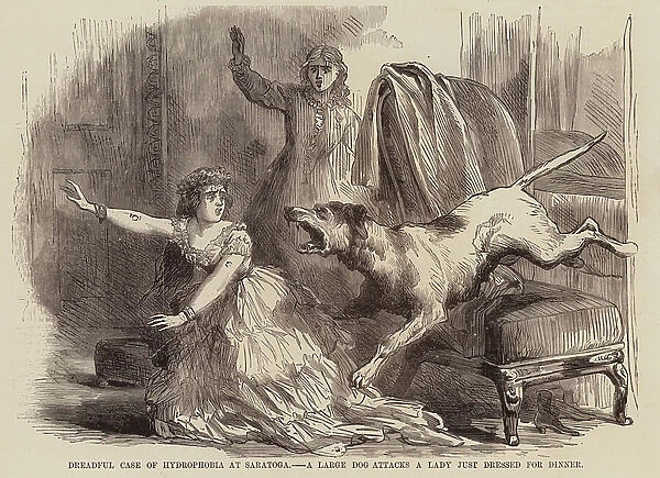 Dreadful case of hydrophobia at Saratoga, a large dog attacks a lady just dressed for dinner (engraving)