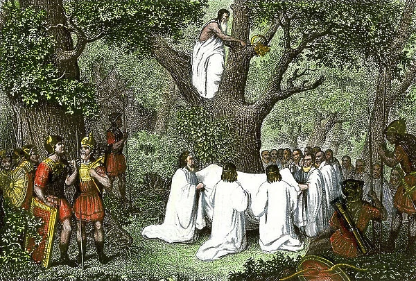 Druid priests cutting mistletoe observed by Roman soldiers in a Celtic forest. Colourful engraving of the 19th century