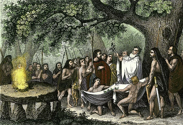 Druids collecting the 19th century mistletoe