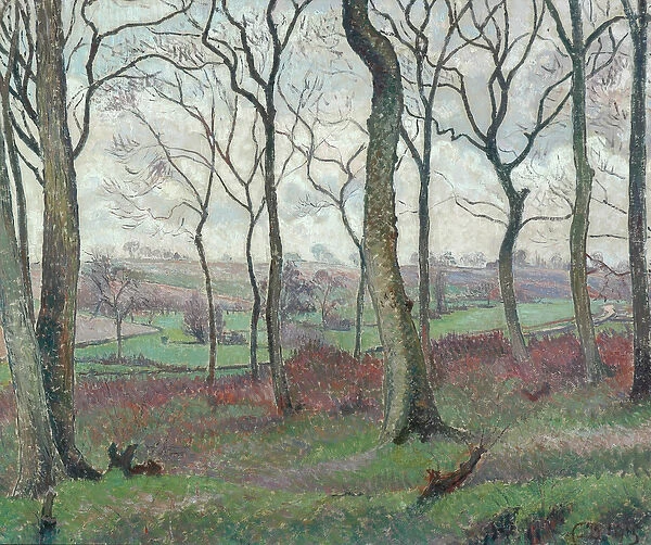 The Dunmow Road from Tilty Wood, 1915 (oil on canvas)