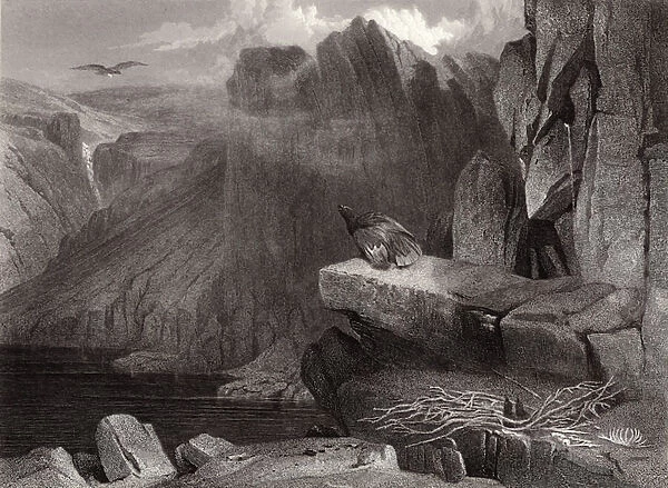 The Eagles nest (engraving)