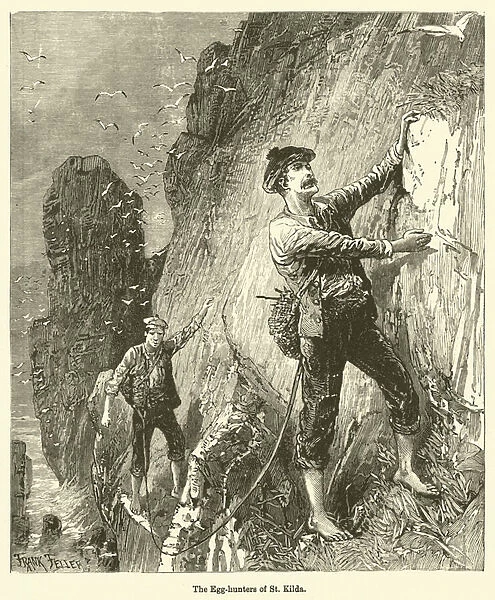 The Egg-hunters of St Kilda (engraving)
