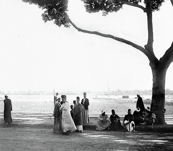 Egypt, Cairo: Cook cruise, Nile side, Cairo road to Giza, men sitting in the shade of an olive tree, 1900