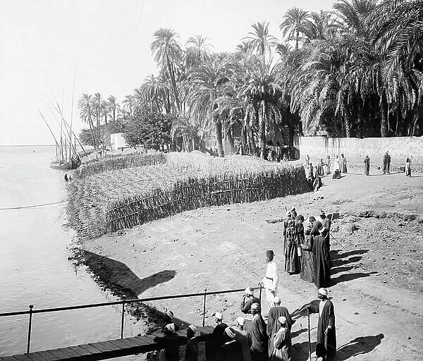 Egypt: Cook cruise, stopover in a village on the banks of the Nile, Cook boat at wharf. Egyptians go to their daily occupations: armed men, farmers on land delimit by a fence of sugar cane stalks, 1900