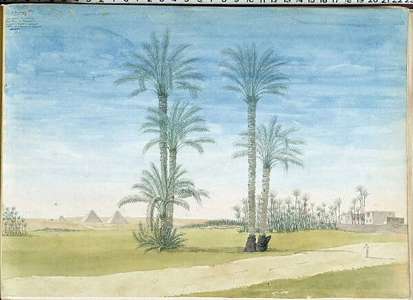 Egypt: 'Pyramids of Gyze (Guizeh, Guiseh, Giza) Drawing by Pascal Coste (1787-1879) Museum of Mediterranean Archeology, Marseille