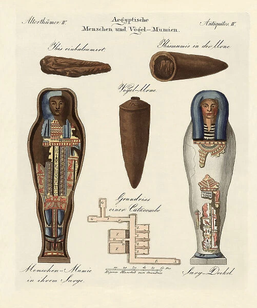 Egyptian mummies (coloured engraving)
