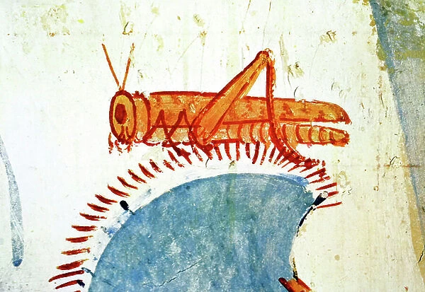 Egyptian tomb wall painting depicting a grasshopper